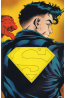 The Adventures of Superman #501 - couvertre intérieure